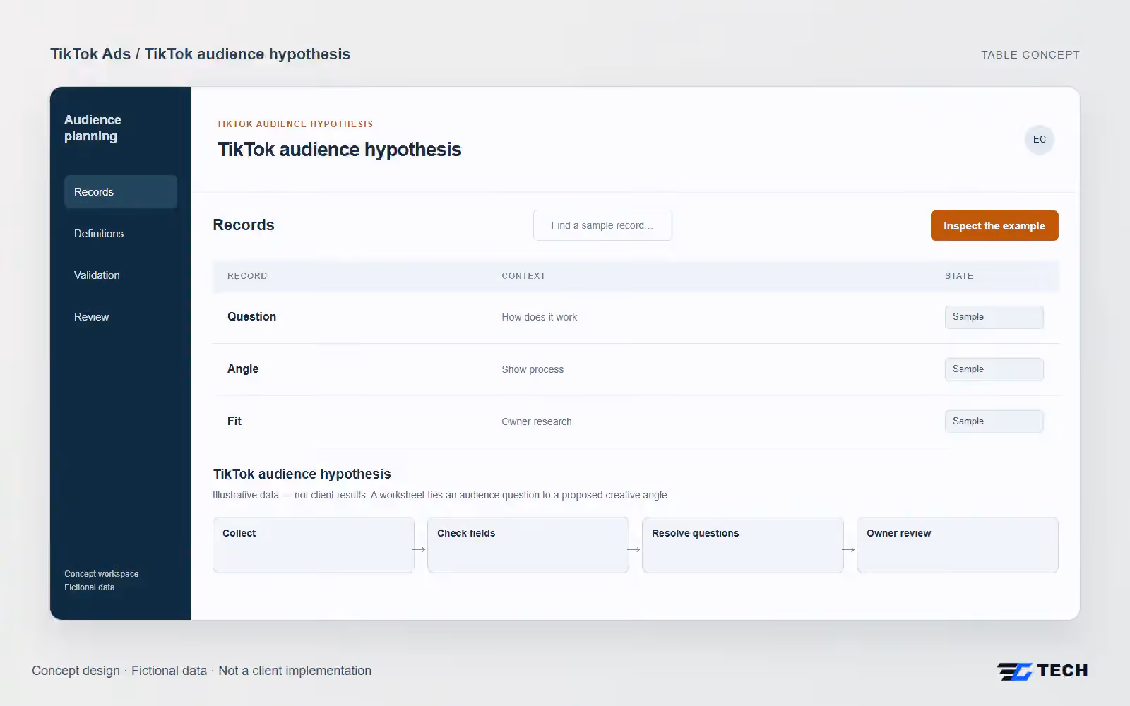 TikTok audience hypothesis. Concept design with illustrative sample records.